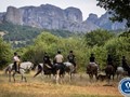 Ασημένιο βραβείο για το Κυνήγι Τρούφας με Άλογα